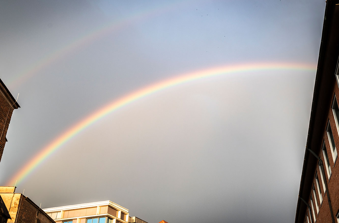 Regenbogen über der Katharinenruine
