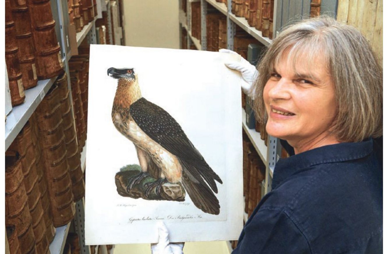 Dr. Christine Sauer und ein Bild aus der Ausstellung "Vogelmalerei"
