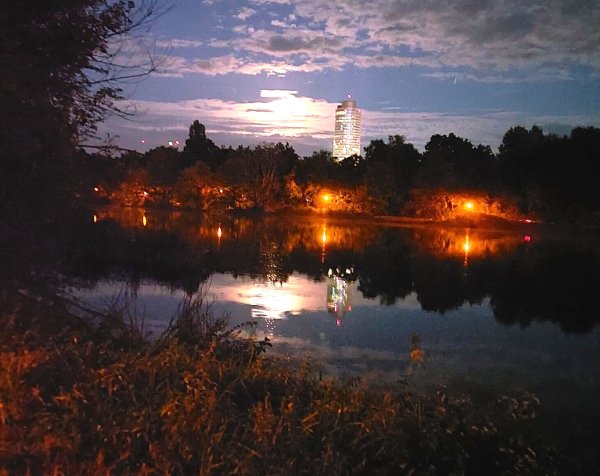 Bild zur Veranstaltung