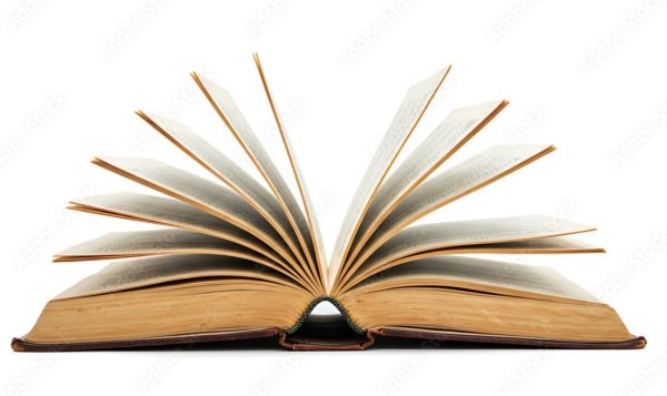 Aufgeschlagenes Buch mit nach oben gebogenen Seiten auf weißem Hintergrund.