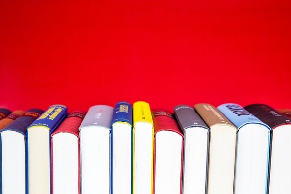 Eine Reihe bunter Bücher steht aufrecht vor rotem Hintergrund.