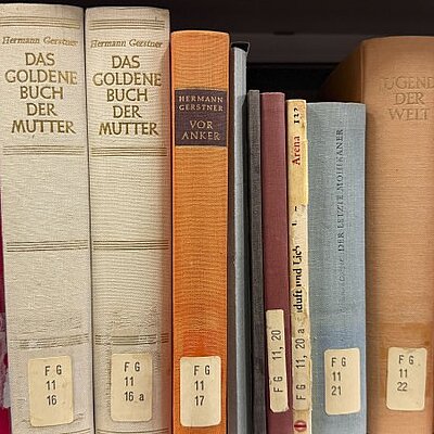 Bücherim Regal