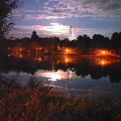 Bild zur Veranstaltung