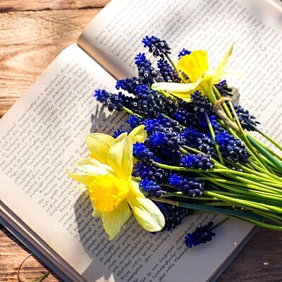 book and spring first  flowers in wooden background