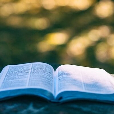 Aufgeschlagenes Buch liegt auf einer Holzoberfläche vor einem unscharfen grünen Naturhintergrund.