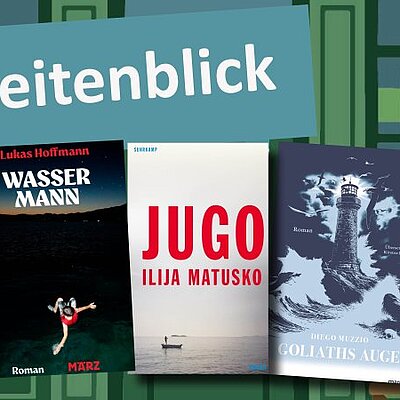 Unter der Überschrift Seitenblick sind die drei Buchcover aus der Diskussionsrunde abgebildet